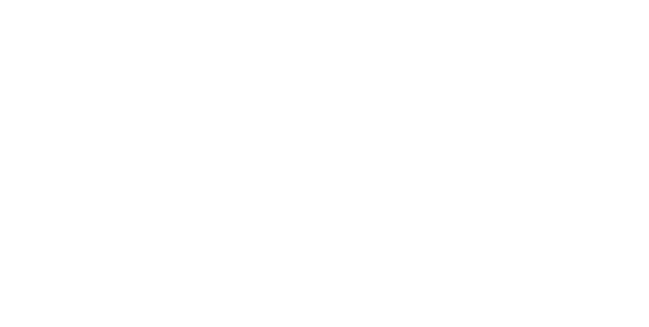 Road Race Rally logo - white